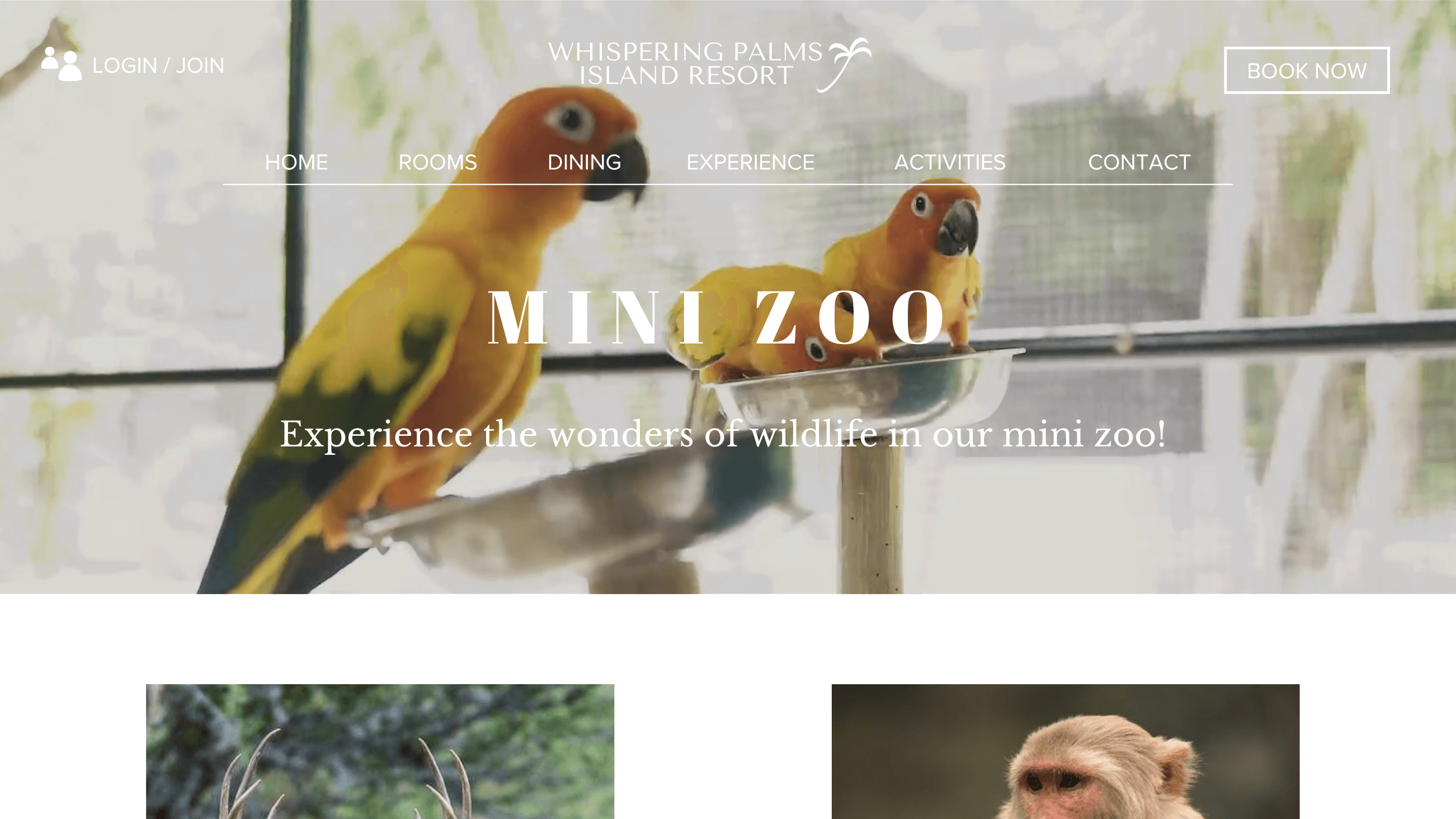 Whispering Palms desktop interface presenting the resort mini zoo with animal photography